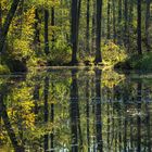 Spreewald-Herbst