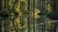 Spreewald-Herbst