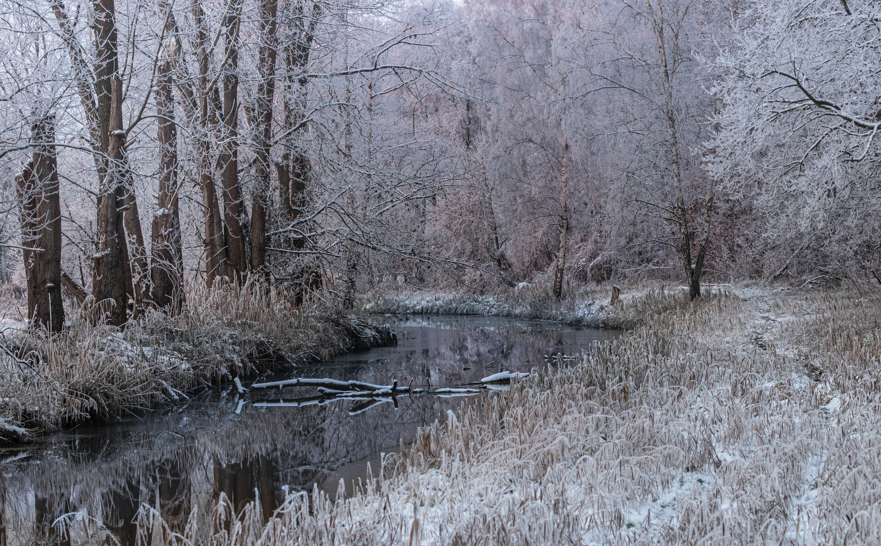 Spreewald I