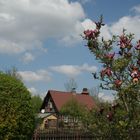 Spreewald Idylle...