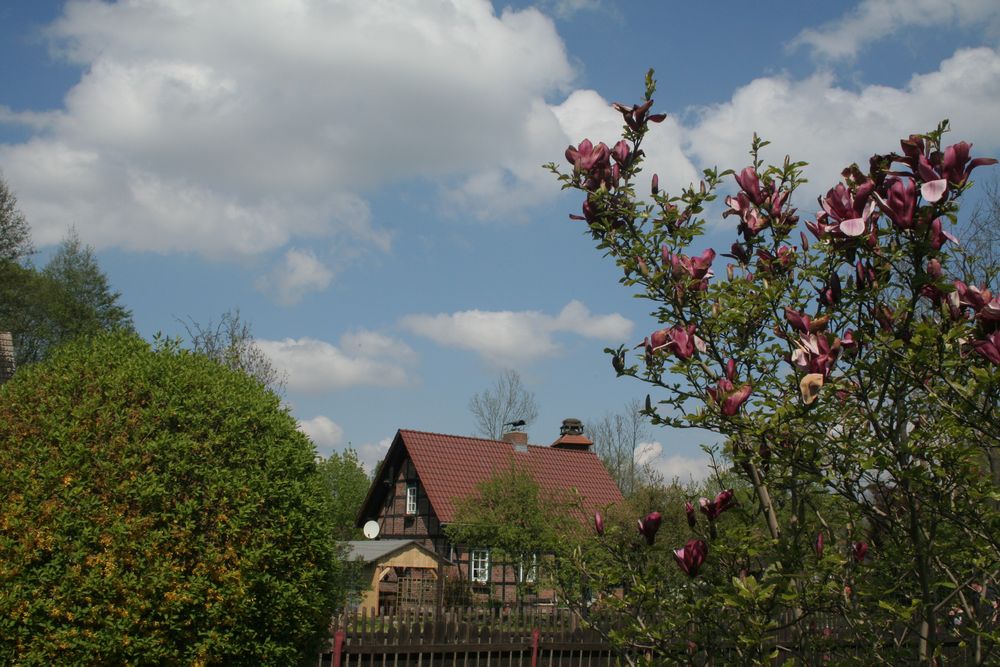 Spreewald Idylle...