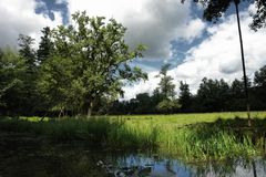 Spreewald - Idylle