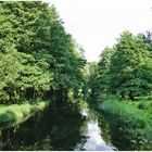 Spreewald II