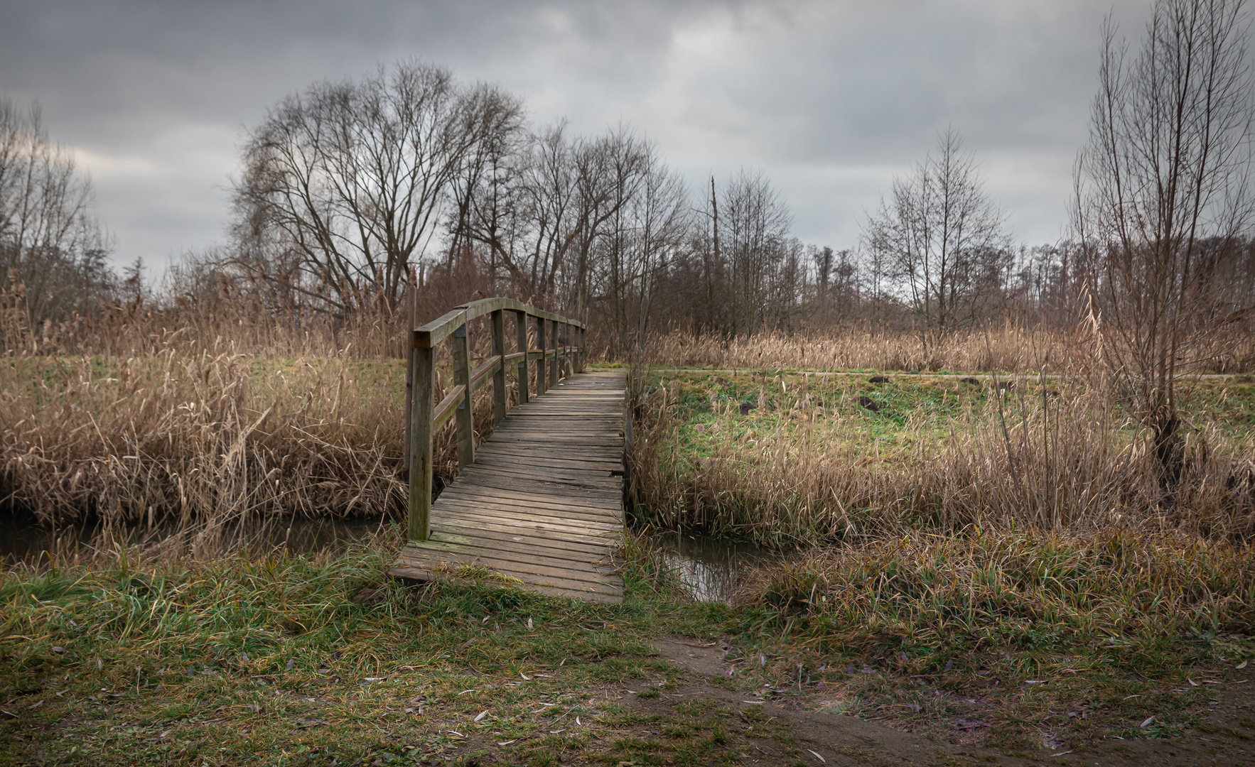 Spreewald III