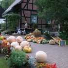 Spreewald im August