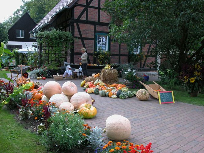 Spreewald im August