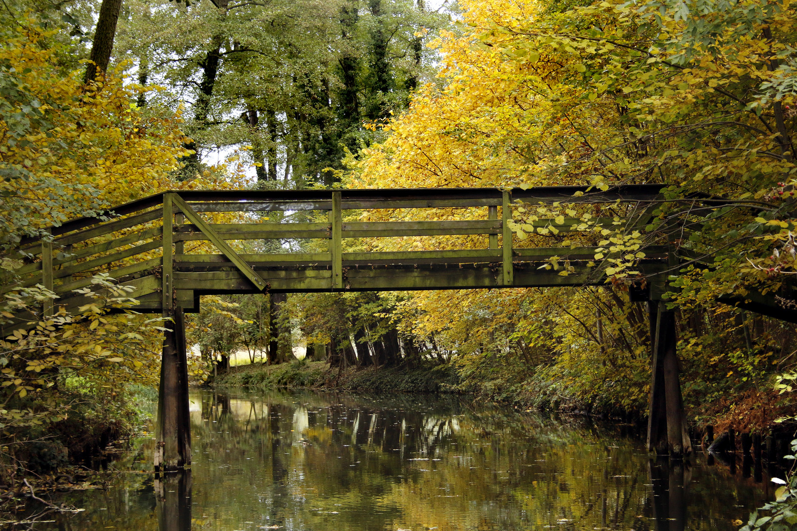 Spreewald im Herbst (2)