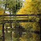 Spreewald im Herbst (2)