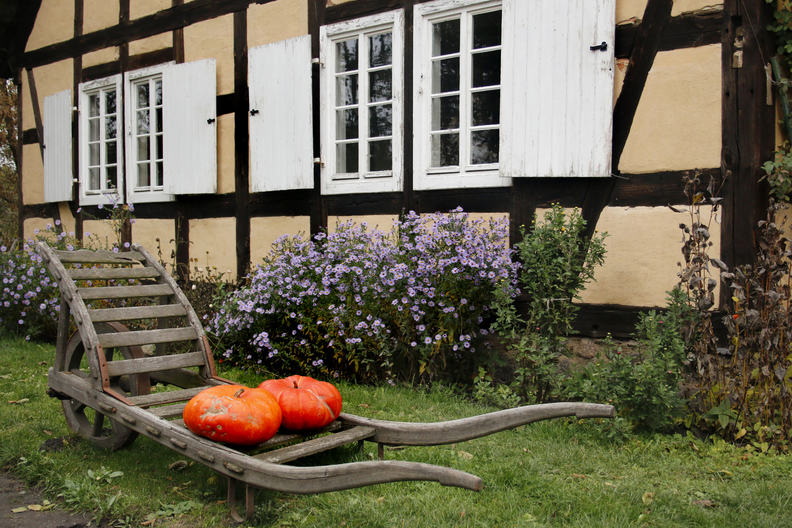 Spreewald im Herbst (4)