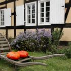 Spreewald im Herbst (4)