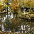 Spreewald im Herbst (5)