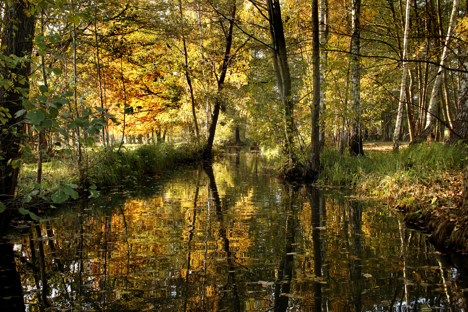 Spreewald im Herbst (6)