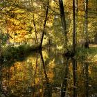 Spreewald im Herbst (6)