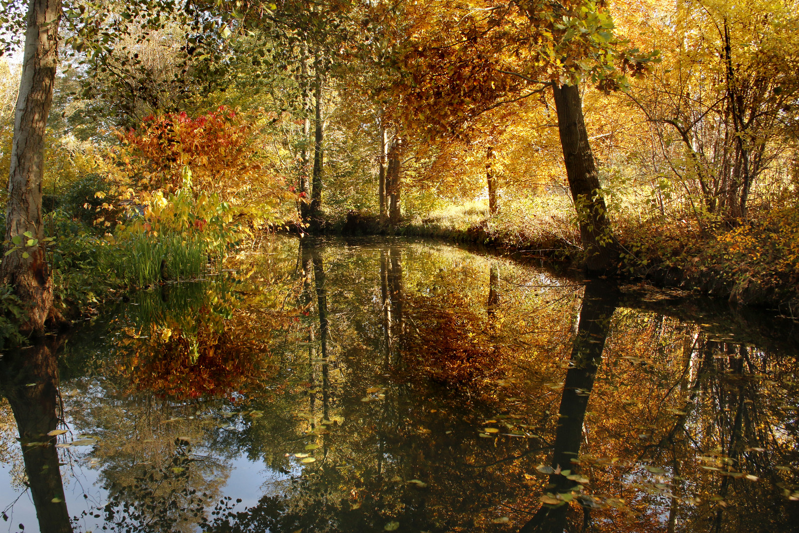 Spreewald im Herbst (7)