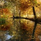 Spreewald im Herbst (7)