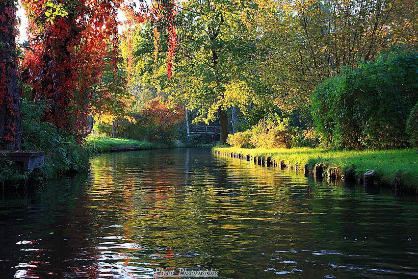 Spreewald im Herbst