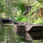 Spreewald im Herbst