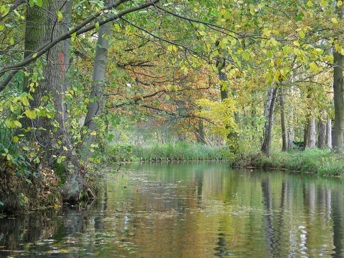 Spreewald im Herbst Teil 2