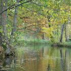 Spreewald im Herbst Teil 2