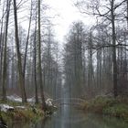 Spreewald - im Hochwald