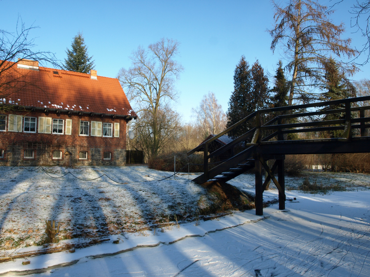 Spreewald im Licht der Abendsonne