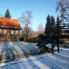 Spreewald im Licht der Abendsonne