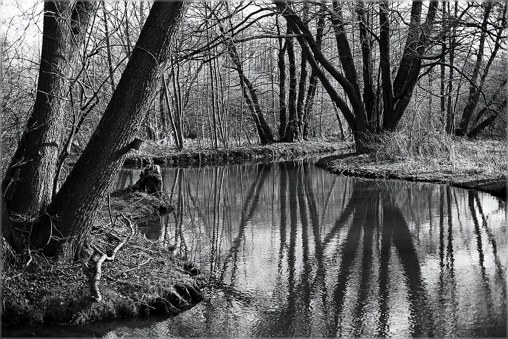 Spreewald im März 2