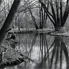 Spreewald im März 2