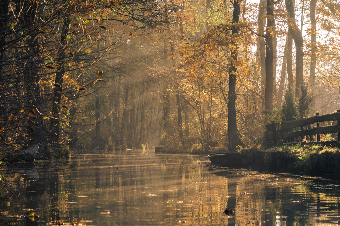 Spreewald im November