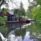 Spreewald im Regenwetter