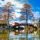 Spreewald im späten Winter