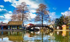 Spreewald im späten Winter