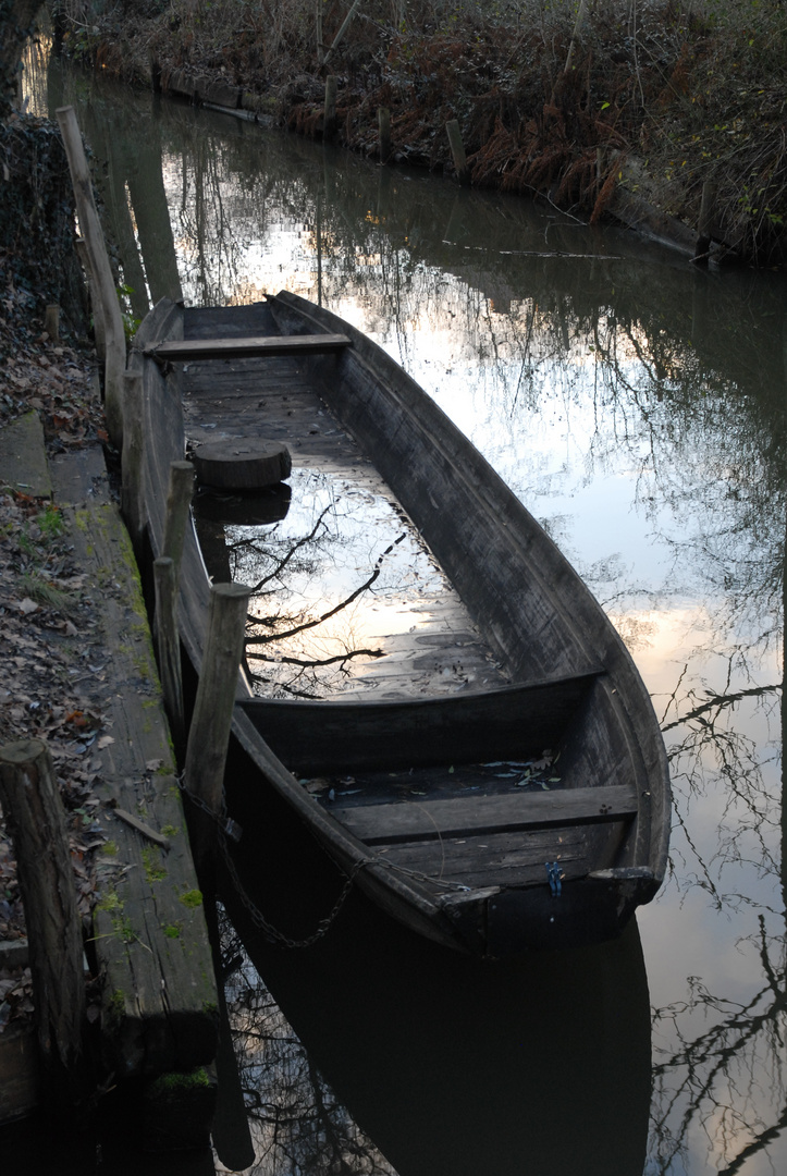 Spreewald im Spätherbst