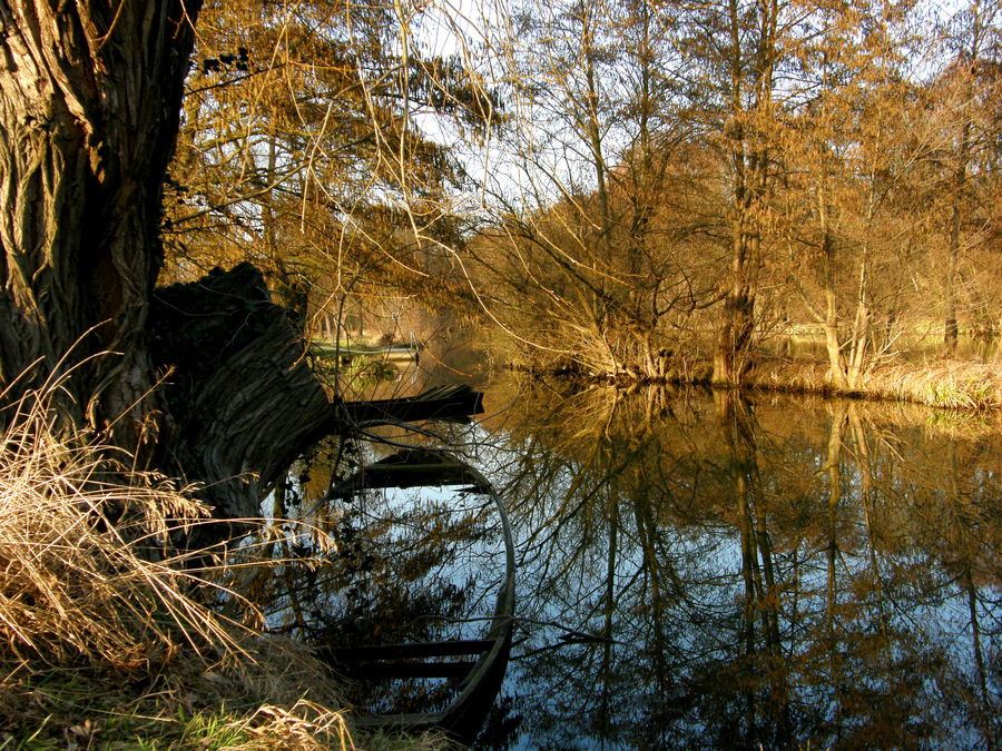 Spreewald im Winter