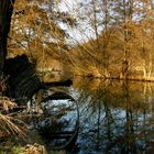 Spreewald im Winter