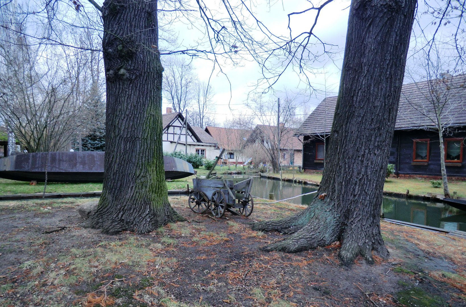 Spreewald im Winter