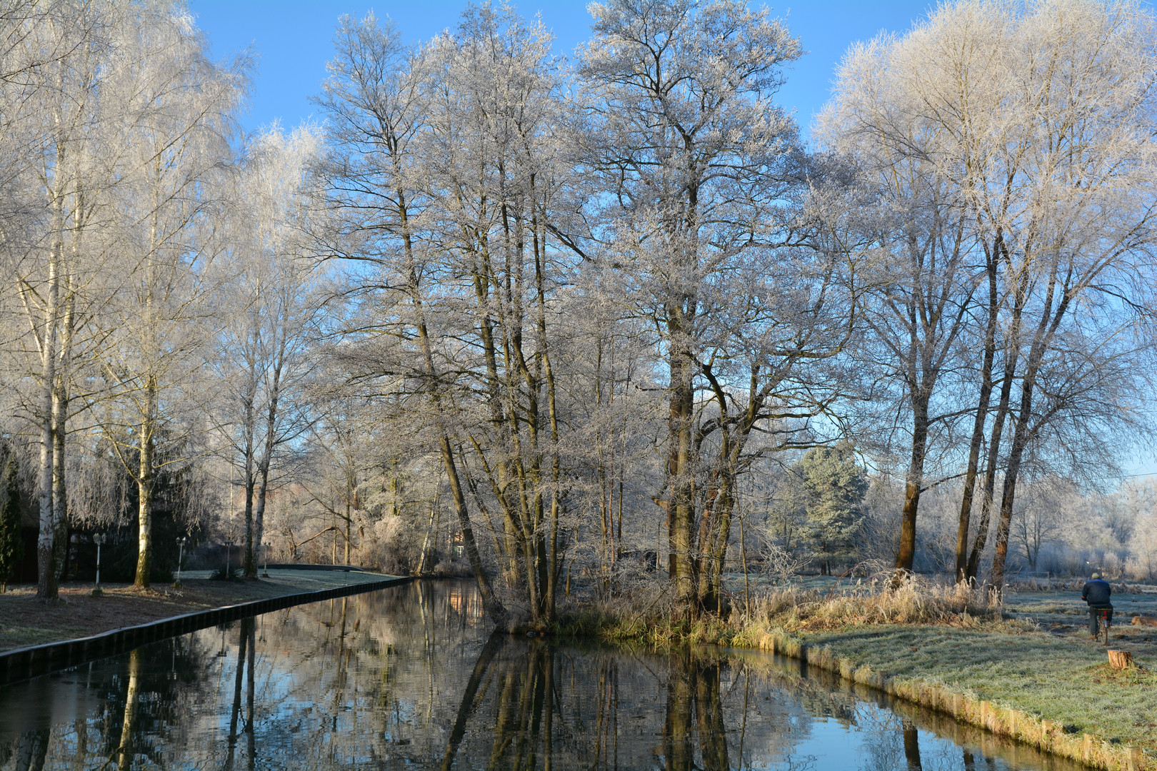 Spreewald im Winter