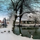 Spreewald im Winter