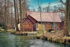 Spreewald im Winter