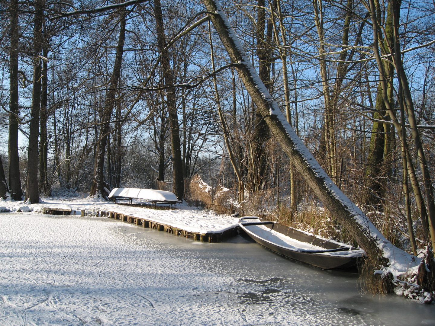 Spreewald im Winter