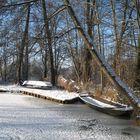 Spreewald im Winter