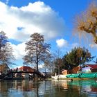 Spreewald im zeitigen Frühling