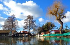 Spreewald im zeitigen Frühling