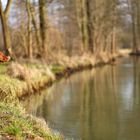 Spreewald Lady