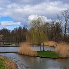 Spreewald Lagune