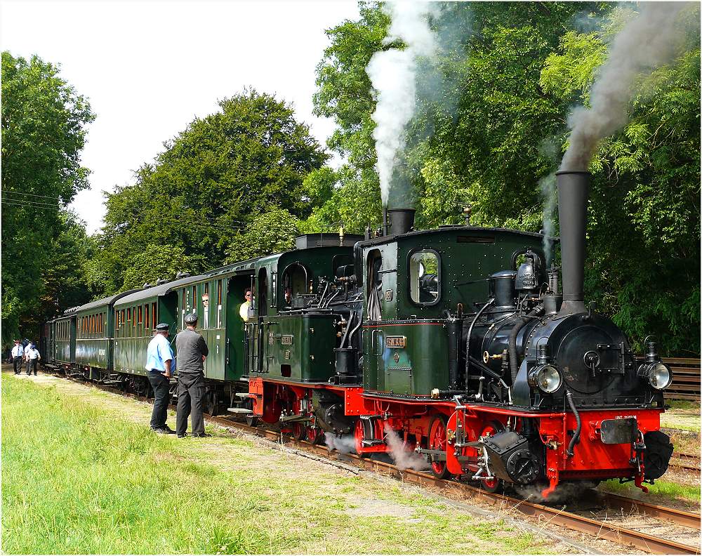 Spreewald mit Franzburg als Vorspann