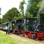 Spreewald mit Franzburg als Vorspann