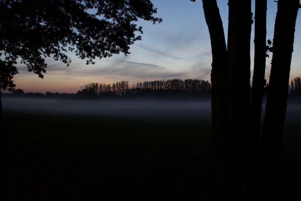 Spreewald Nacht