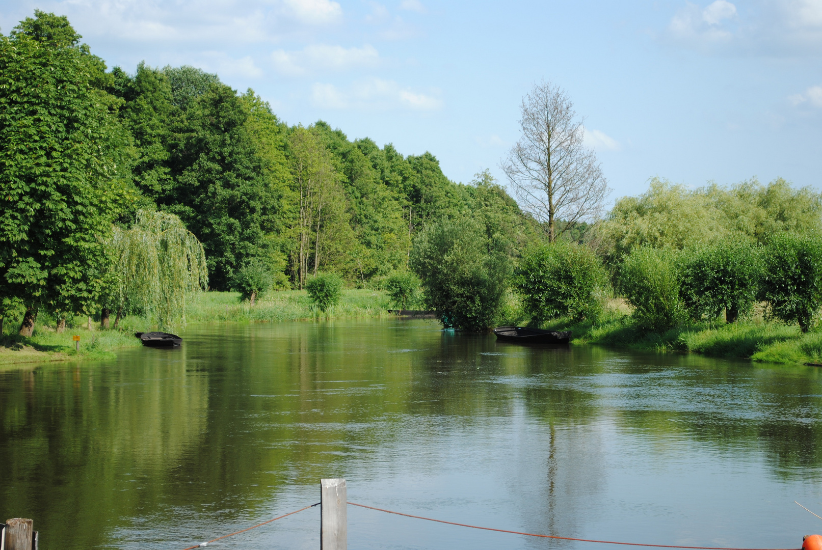 Spreewald Natur pur