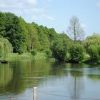 Spreewald Natur pur